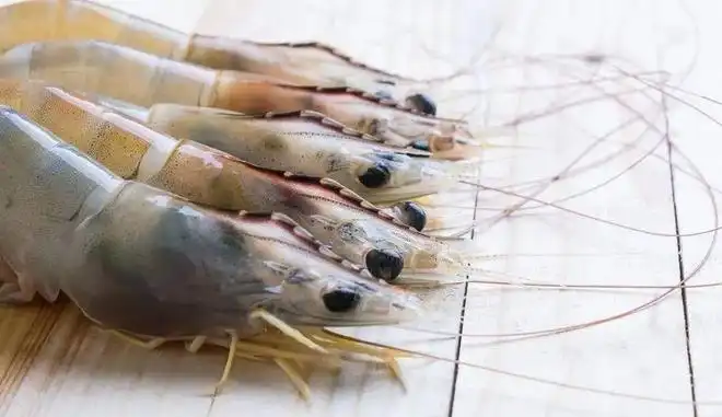 Astaxanthin Powder vs Krill Oil: Key Differences Explained